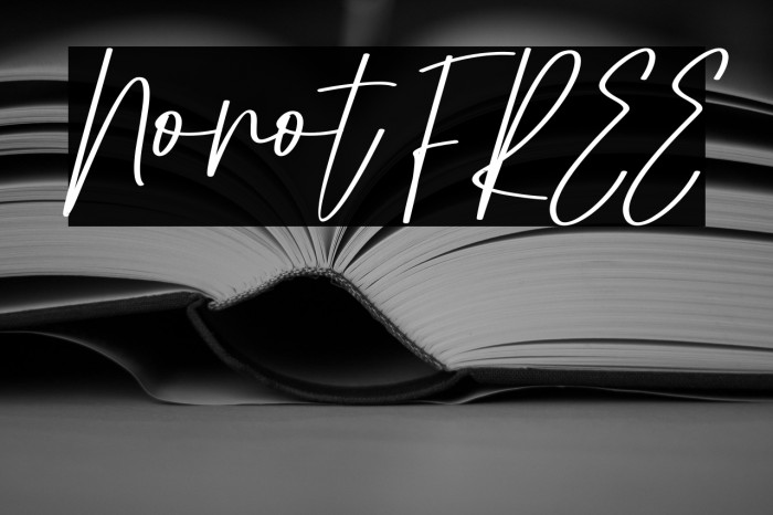Nonot FREE Example 1