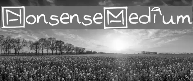 Nonsense-Medium Font examples