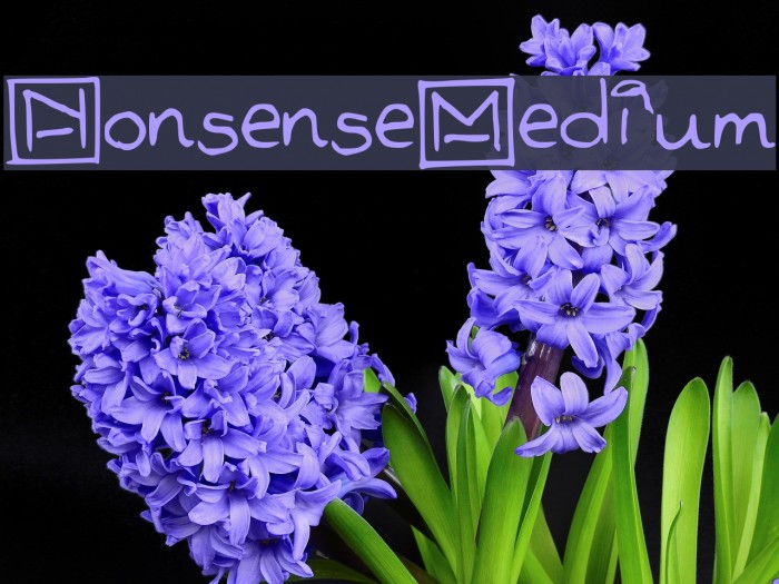 Nonsense-Medium Example 3