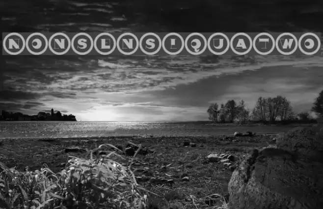 NonsensiquaTwo Font examples