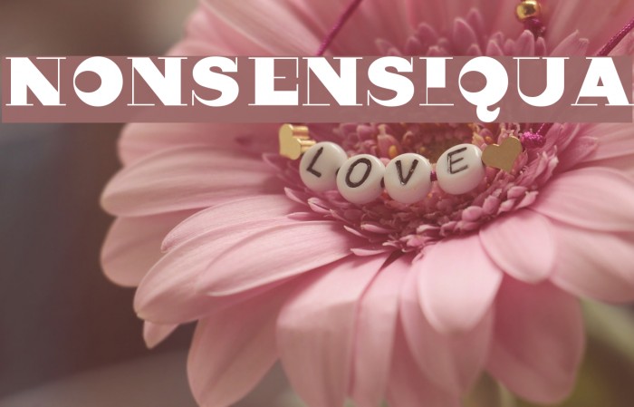 Nonsensiqua Example 1