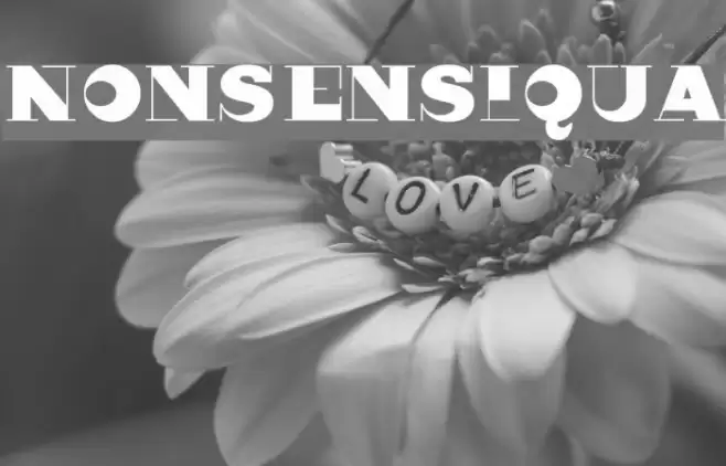 Nonsensiqua Font examples