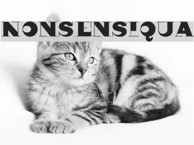 Nonsensiqua Font examples