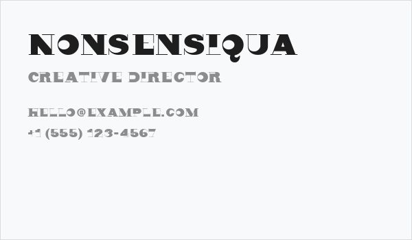 Nonsensiqua Business Card