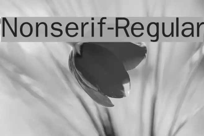 Nonserif-Regular  examples