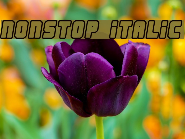 Nonstop italic Font examples