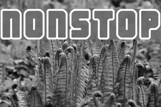 Nonstop Polices examples