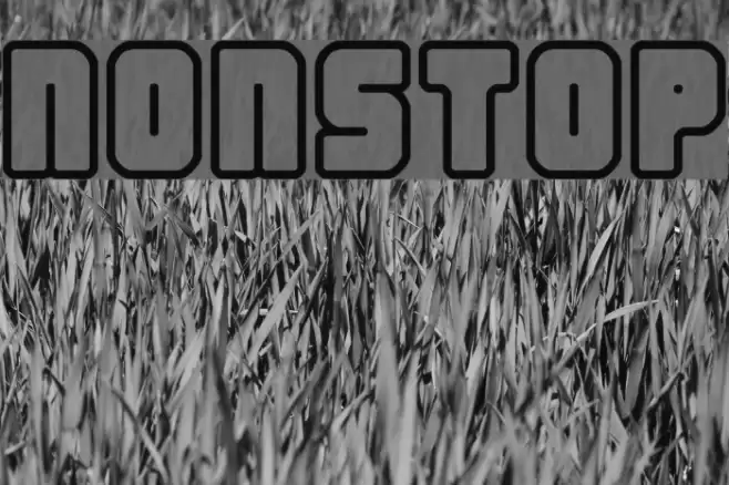 Nonstop Polices examples