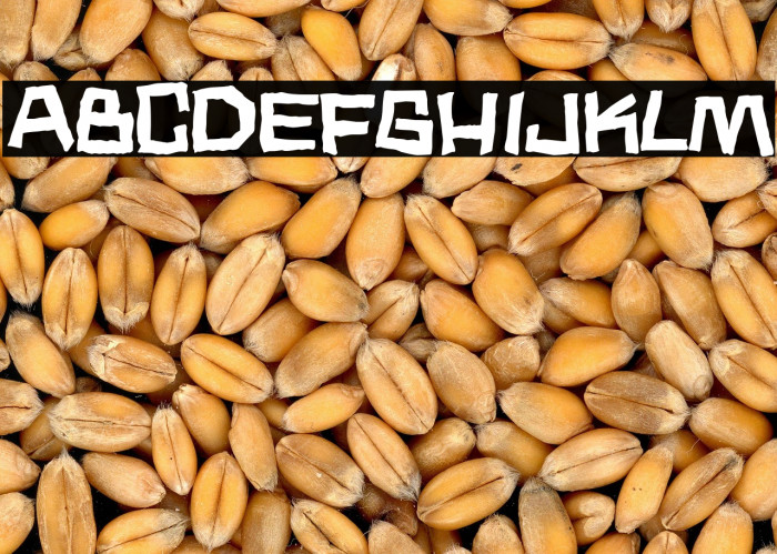 Noodle soup Example 2