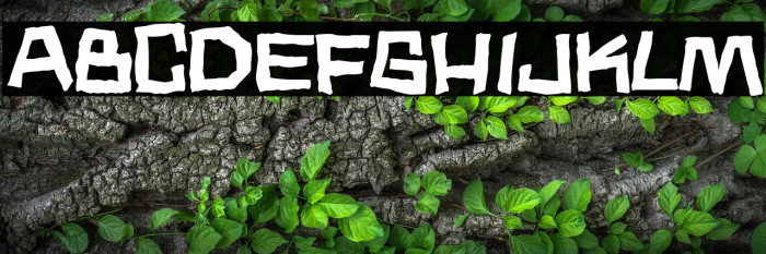 Noodle soup Example 3