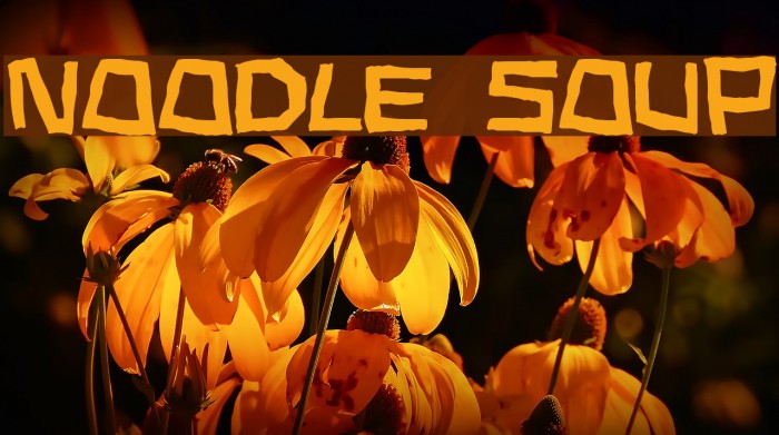 Noodle soup Font examples