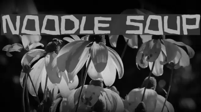 Noodle soup Fonte examples
