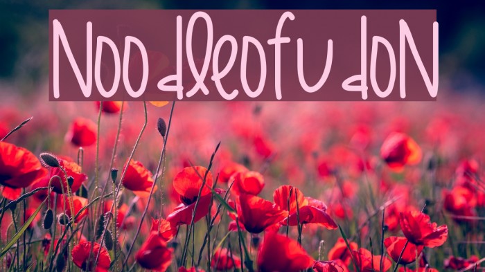 NoodleOfUdon Example 2