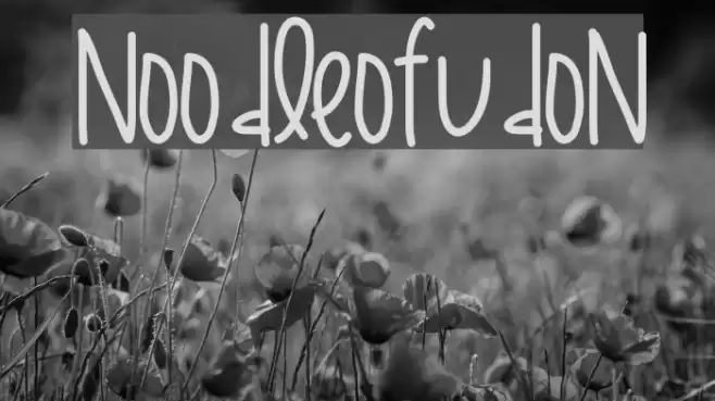 NoodleOfUdon Font examples