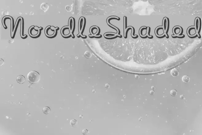 NoodleShaded Example 3