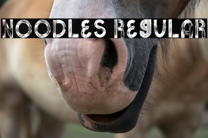 Noodles Regular Example 1