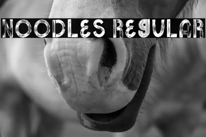 Noodles Regular Example 1
