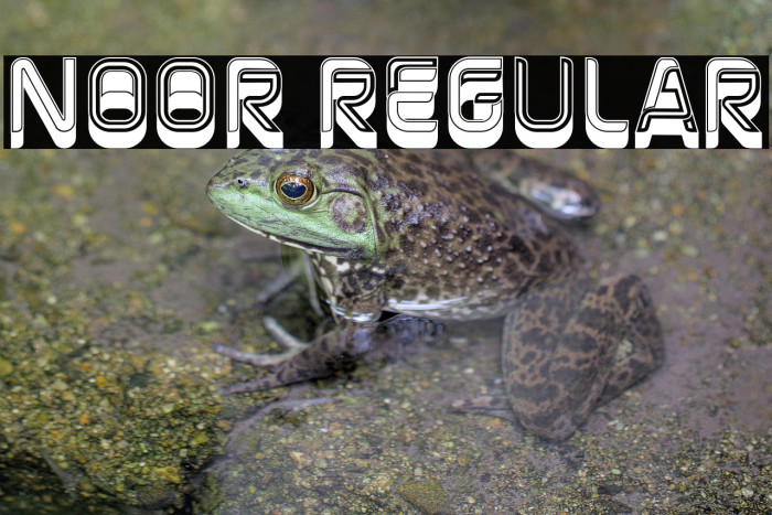 Noor Regular Example 1