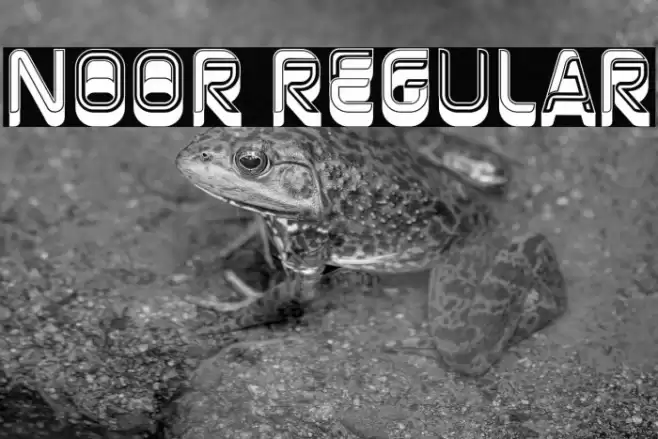 Noor Regular Font examples