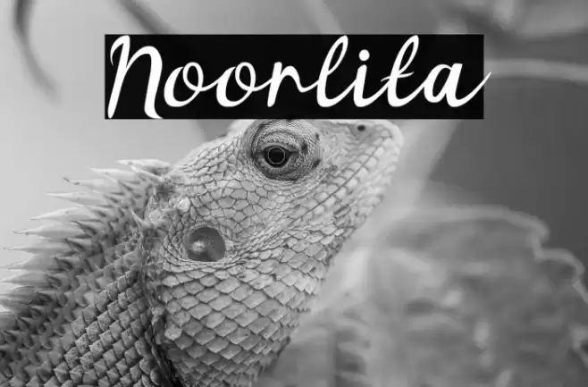 Noorlita Font examples