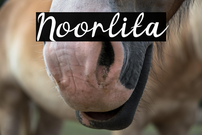 Noorlita Example 2