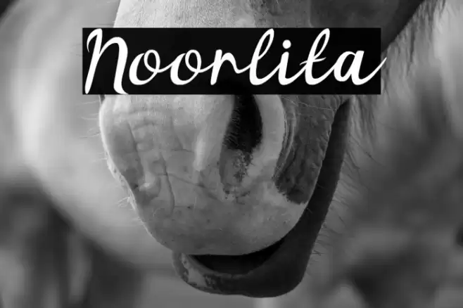 Noorlita Font examples