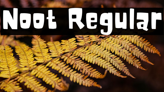 Noot Regular Example 1
