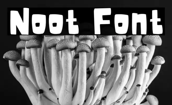 Noot Example 1