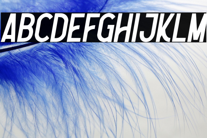 Nootdorp-Italic Example 1