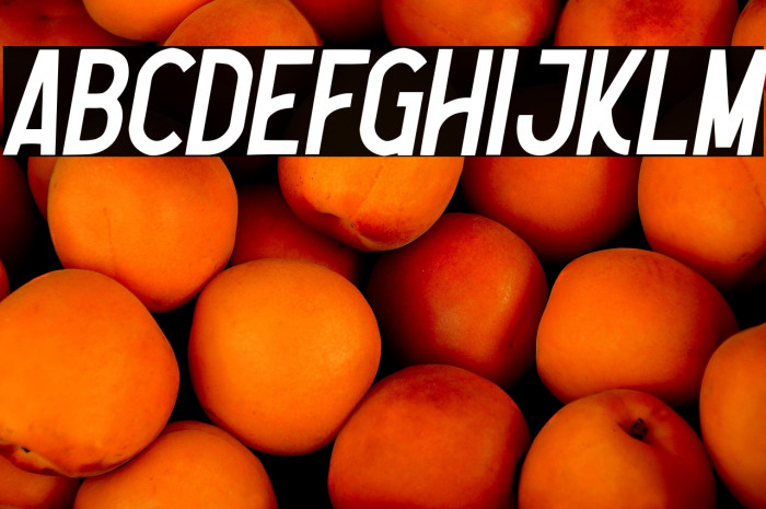 Nootdorp-Italic Example 2