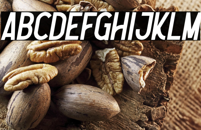 Nootdorp-Italic Example 1