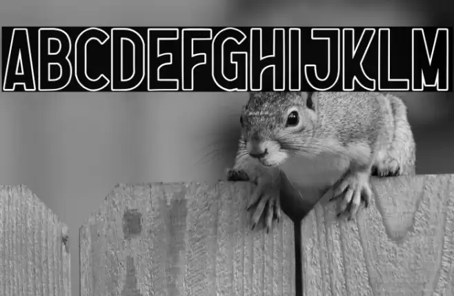 Nootdorp Font examples