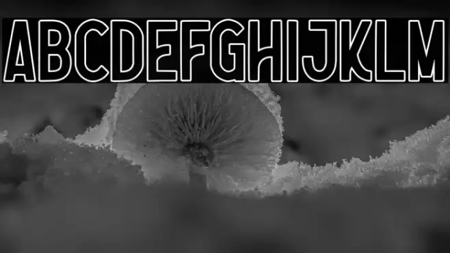 Nootdorp Font examples