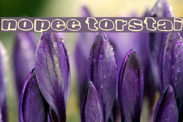 Nopee Torstai Font examples