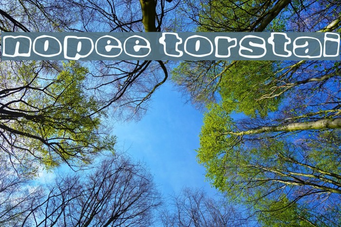 Nopee Torstai Font examples