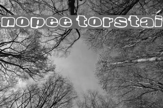 Nopee Torstai Example 2