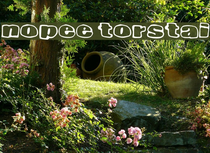 Nopee Torstai Font examples