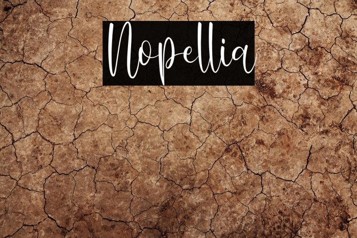 Nopellia Caratteri examples