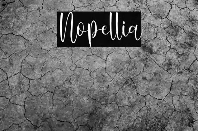 Nopellia Example 3