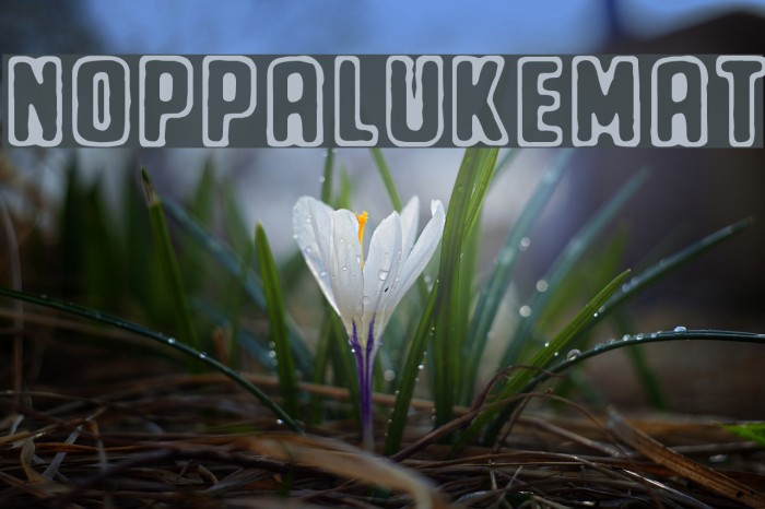 Noppalukemat Font examples
