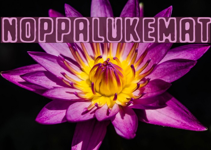 Noppalukemat Font examples