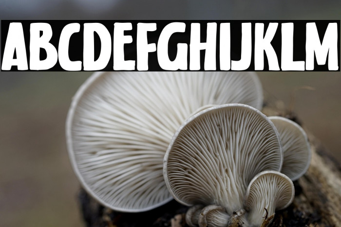 Nora Notes Example 1