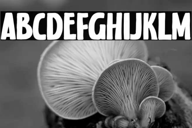 Nora Notes Font examples