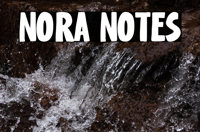 Nora Notes Example 1