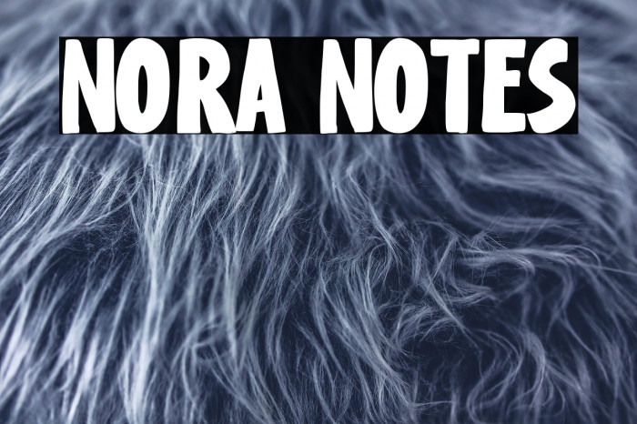 Nora Notes Example 2