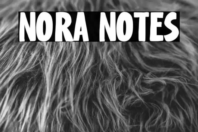 Nora Notes Font examples