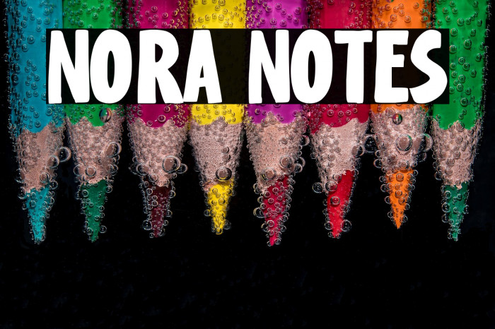 Nora Notes Example 3