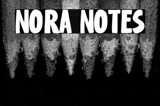 Nora Notes Font examples