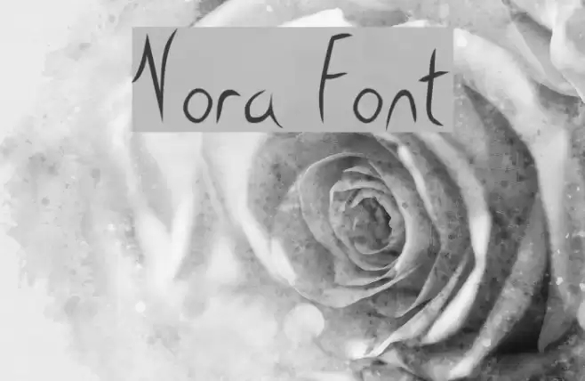 Nora Schriftart examples
