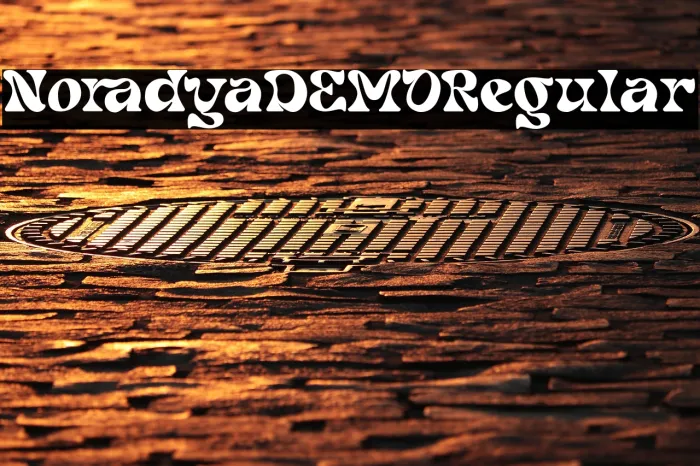 Noradya DEMO Regular Example 1